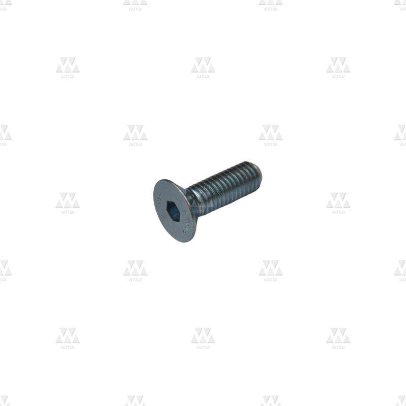 W001272 | CONTACT WASHER 10 – FST – ZINC PLATED